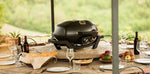 Load image into Gallery viewer, Napoleon Travel Q Pro 285 BBQ