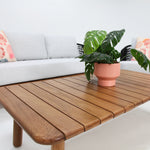 Load image into Gallery viewer, Adalita 321 Lounge Setting with Rectangle Coffee Table