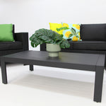 Load image into Gallery viewer, Banksia Dallas 211CT - Black