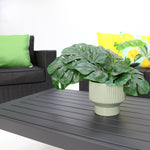 Load image into Gallery viewer, Banksia Dallas 211CT - Black