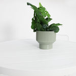 Load image into Gallery viewer, Cila 5pc Bar Setting - White