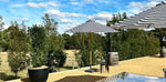 Load image into Gallery viewer, Laid Back Charcoal + White Outdoor Beanbag