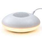 Load image into Gallery viewer, Detachable Led Light With Bluetooth Speaker