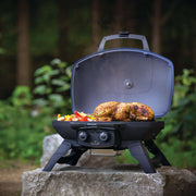 BBQs, Pizza Ovens & Heating