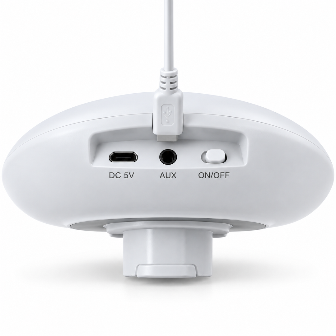 Detachable Led Light With Bluetooth Speaker
