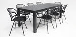 Load image into Gallery viewer, Dallas Fantail 9pc Dining Setting - Black
