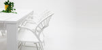 Load image into Gallery viewer, Dallas Fantail 9pc Dining Setting - White
