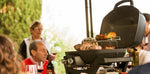 Load image into Gallery viewer, Napoleon Travel Q Pro 285 BBQ
