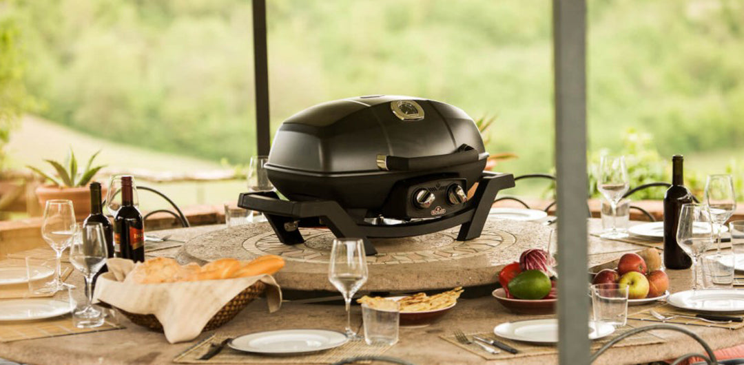Napoleon Travel Q Pro 285 BBQ