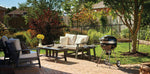 Load image into Gallery viewer, Napoleon Pro Charcoal Leg BBQ
