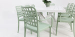 Load image into Gallery viewer, Ravenne Frankie Armchair 9pc Dining Set - White Green
