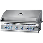 Load image into Gallery viewer, Napoleon Built in 700 Series 44&quot; with Rear Burner + Lights - Natural Gas - BIG44RBINSS-1-AU
