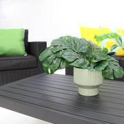 Banksia Dallas 211CT - Black