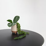 Load image into Gallery viewer, Bistro 3pc Cafe Dining Setting - Black
