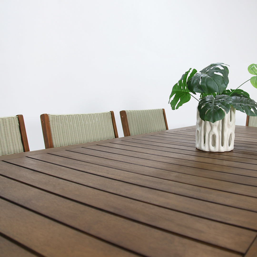 Botanica 9pc Dining Setting