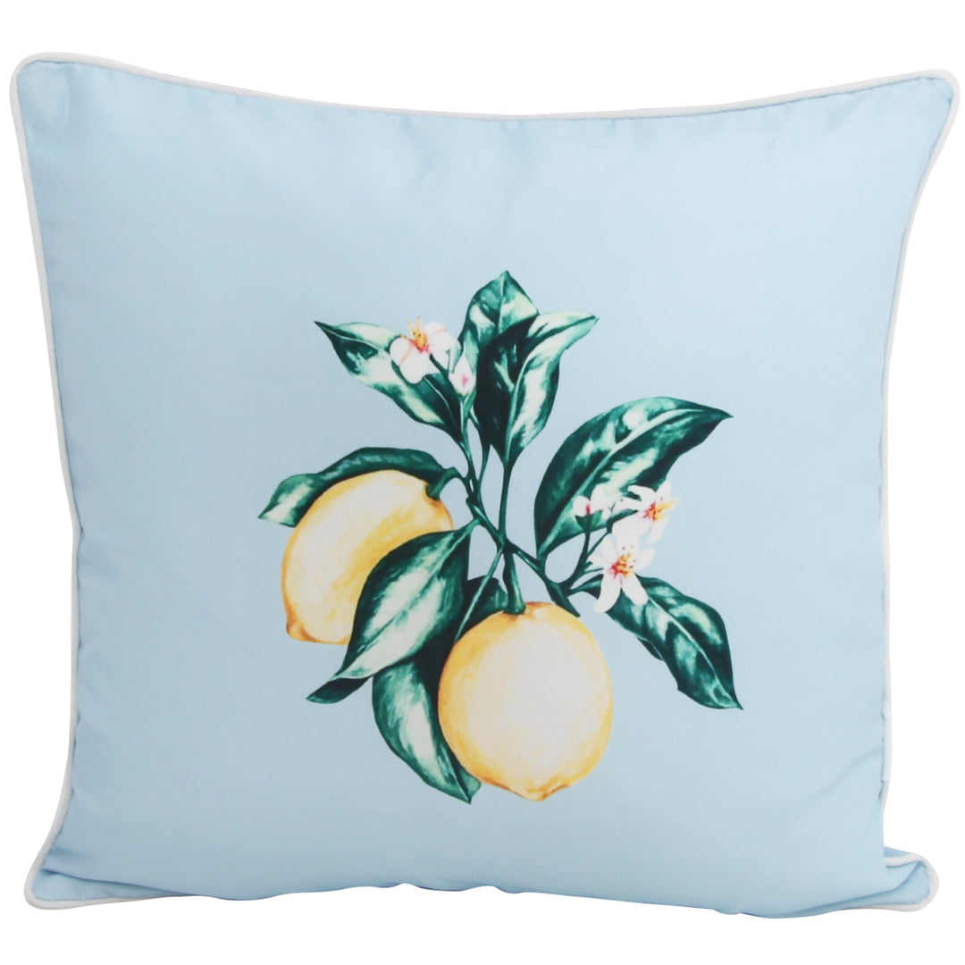 Citrus Blue 45x45cm Outdoor Cushion
