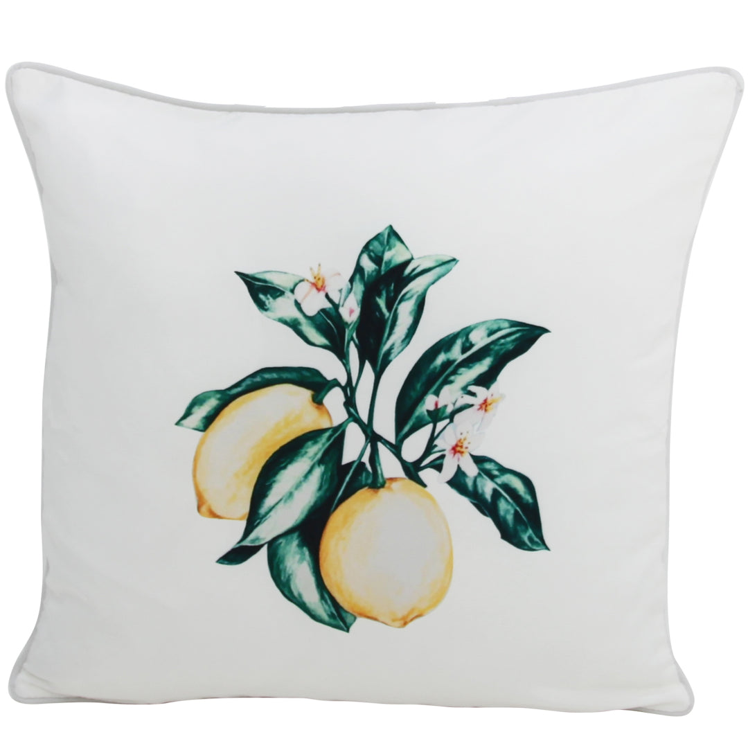 Citrus White 45x45cm Outdoor Cushion