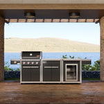 Load image into Gallery viewer, Coleman Revolution Dual Fuel with Bench and Fridge Module - Charcoal Glimmer
