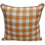 Load image into Gallery viewer, Mango Gingham Outdoor Cushion 45x45cm

