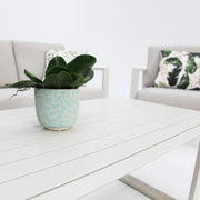 Octavia 4pc Lounge - Cream