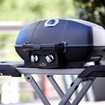 Load image into Gallery viewer, Napoleon TravelQ PRO285X with Scissor Cart