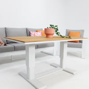 Hayman 311 Lounge Setting with Holste Adjustable Teak Table - White
