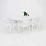 Load image into Gallery viewer, Ravenne Frankie 9pc Dining Setting with 2 x Armchairs - White