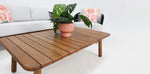 Load image into Gallery viewer, Adalita 321 Lounge Setting with Rectangle Coffee Table
