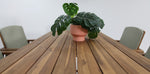 Load image into Gallery viewer, Kata 7pc Timber Bar Setting
