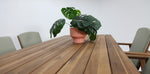 Load image into Gallery viewer, Kata 5pc Timber Bar Setting
